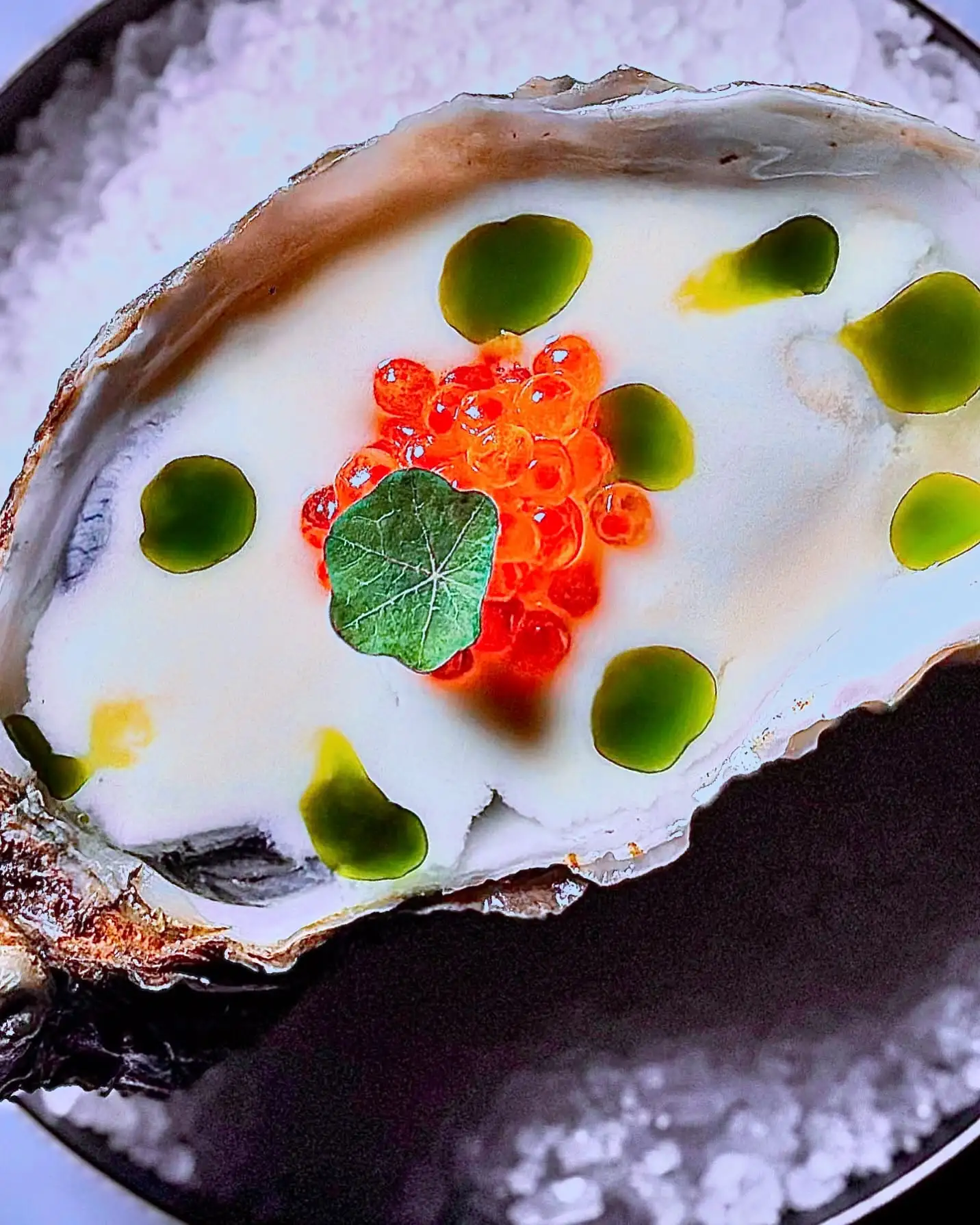 The sea at your fingertips.

A marinated oyster, pure and briny, the perfect companion to a well-crafted drink. A pairing that enhances flavors, balancing freshness and depth in every bite and sip.

Some experiences are meant to be savored together. Join Carico, reserve your table.

#StayCarico #Oyster #PerfectPairing #SeaAndSpirits #cocktail #milano